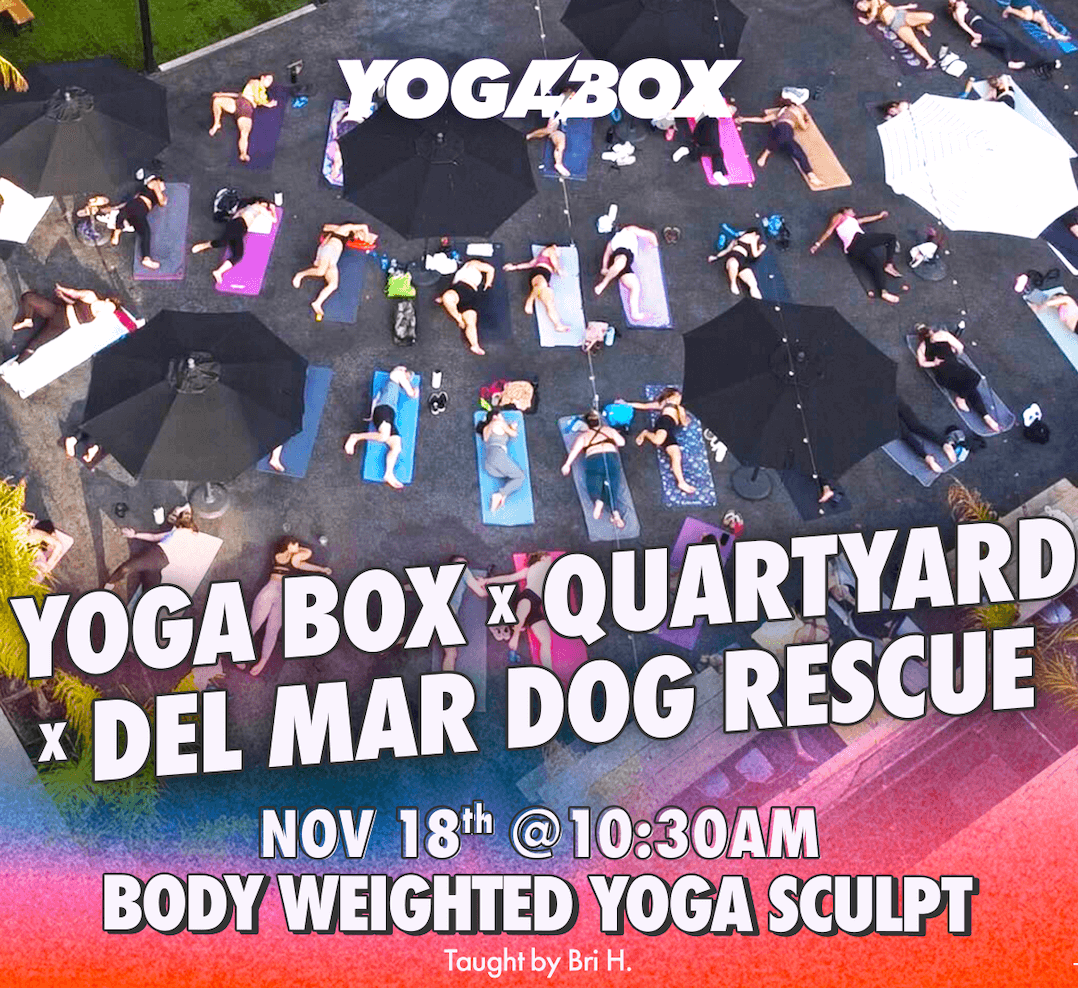 Yoga Box x Quartyard x Del Mar Dog Rescue: Body Weighted Yoga Sculpt –  Quartyard